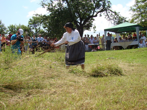 Foto concurs de cosit iarba (c) eMM.ro